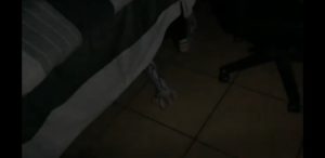 From Down Chamber video "Eyes In The Trees" 